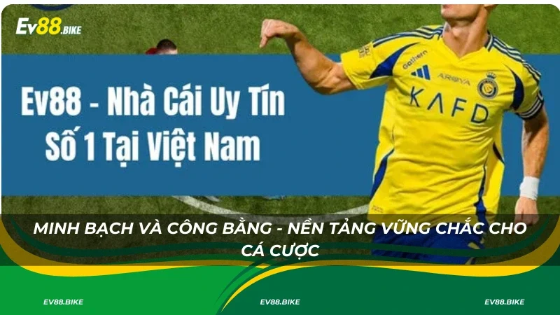 Minh bạch và công bằng - Nền tảng vững chắc cho cá cược