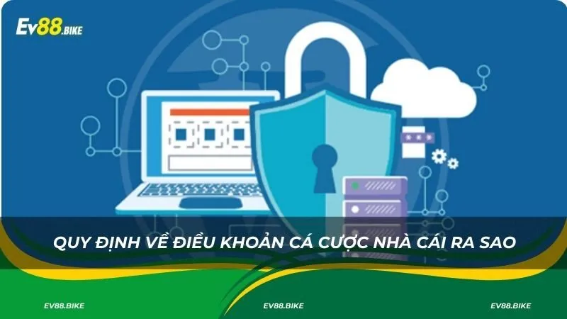 Quy định về điều khoản cá cược nhà cái ra sao