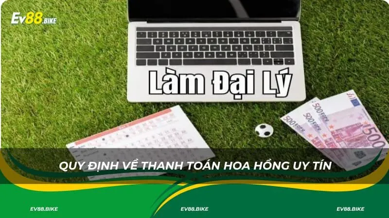 Quy định về thanh toán hoa hồng uy tín