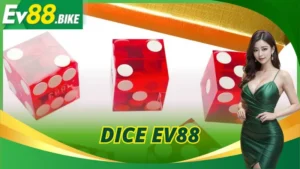 Dice